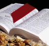 bibbia